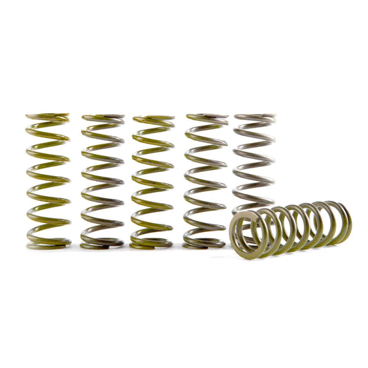 Hi-Temp Clutch Spring Kit (Set of 6) for Honda/Suzuki Applications